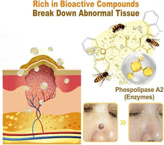 Bee Venom Cream – Natural Relief & Comfort For All Skin Types (2PCS)